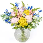 NP24BOX0057L.jpg