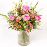 NP24BOX0135L.jpg