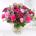 20190057_4260625431146_rosa_roter_bluetentraum_int (1).jpg