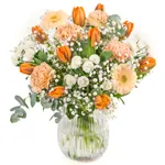 NP25BOX0043L.jpg