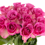 rosenbox-rosa-3.jpg