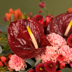 NP26FLO0221_2.jpg