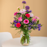 NP24BOX0098-1.jpg