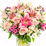 NP26BOX0023L.jpg