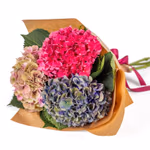 NP26BOX0225S.jpg