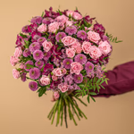 NP24BOX0075S_2025_1.jpg