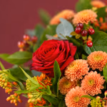 BOU19_98_4.jpg
