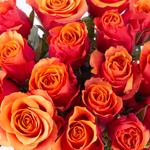 20190068-20-orange-rosen-zoom.jpg