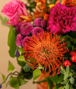 NP26FLO0219_2.jpg
