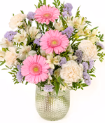 NP25BOX0197M-2026.jpg