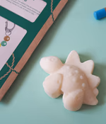 Kids Package 2 Age 6 dino soap detail 600x600.jpg