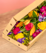 NP25BOX0118_4.jpg
