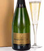 champagne_choice (2)_2026.jpg