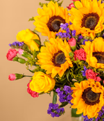 NP26BOX0142-3.jpg