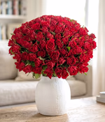 DE12BQTHT01_100RED.jpg