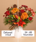 NP26BOX0231_3-Cones.png