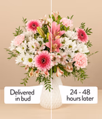 NP26BOX0188_4.png