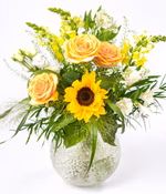 NP26FLO0191M.jpg
