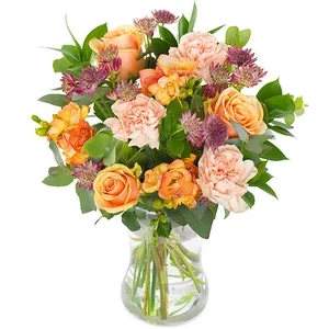 Orange delight