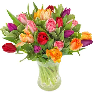 20 Tulips