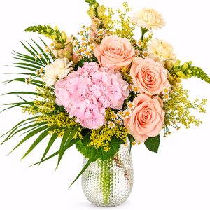 Groß (50% mehr Blumen)