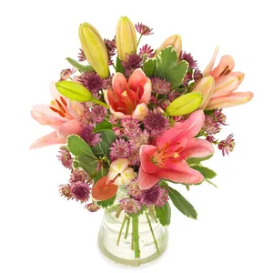 Lovely Lily