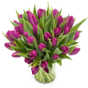 Purple tulips