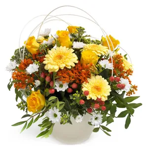 Bright Blooms