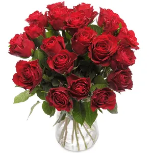 20 Red Roses