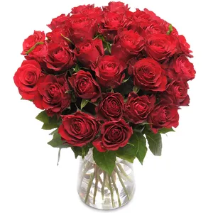 30 Red Roses