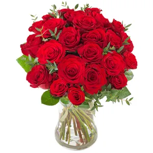25 rode rozen