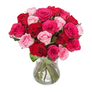 20 rozen