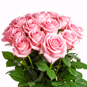15 stems