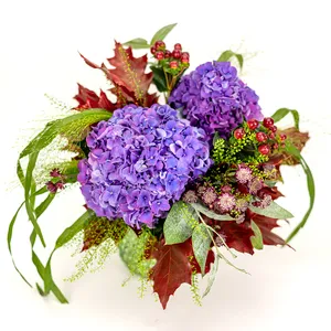 Blue-purple autumn hydrangea