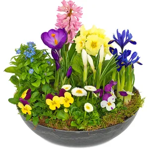 Spring Planter