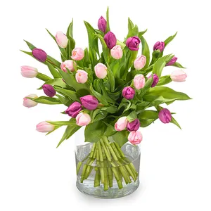 30 Pink & Purple Tulips