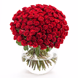 100 rote Rosen