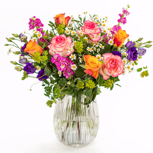 Groß (100 % mehr Blumen)