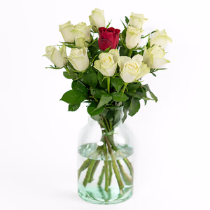 12 rozen