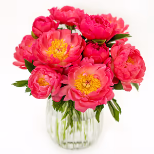 10 peonies