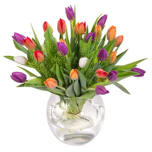 Colorful tulips