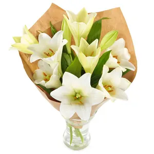 Witte lelies