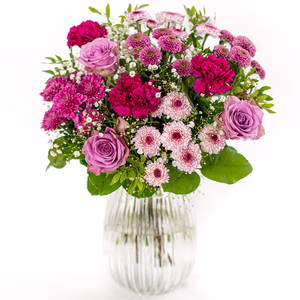 Large (60% more flowers)