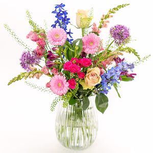 Large (50% more flowers)
