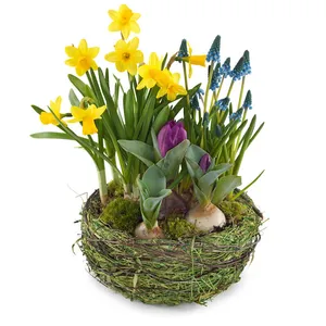 Spring Mix