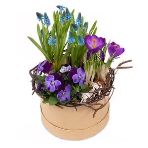Welcome spring