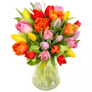 Farbenspiel der Tulpen