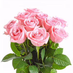 10 stems