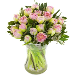 20 Tulips