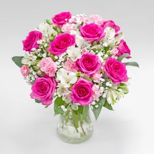 Pink Allrounder